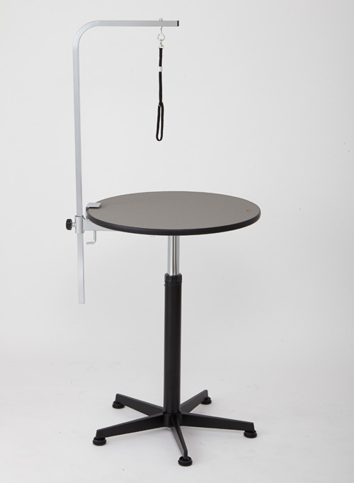 ＲＴＲ－６００　Ｓ　アームムーブ　シッティングタイプ